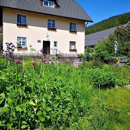 Apartmán Abenteuerhof Weißenbach Exteriér fotografie