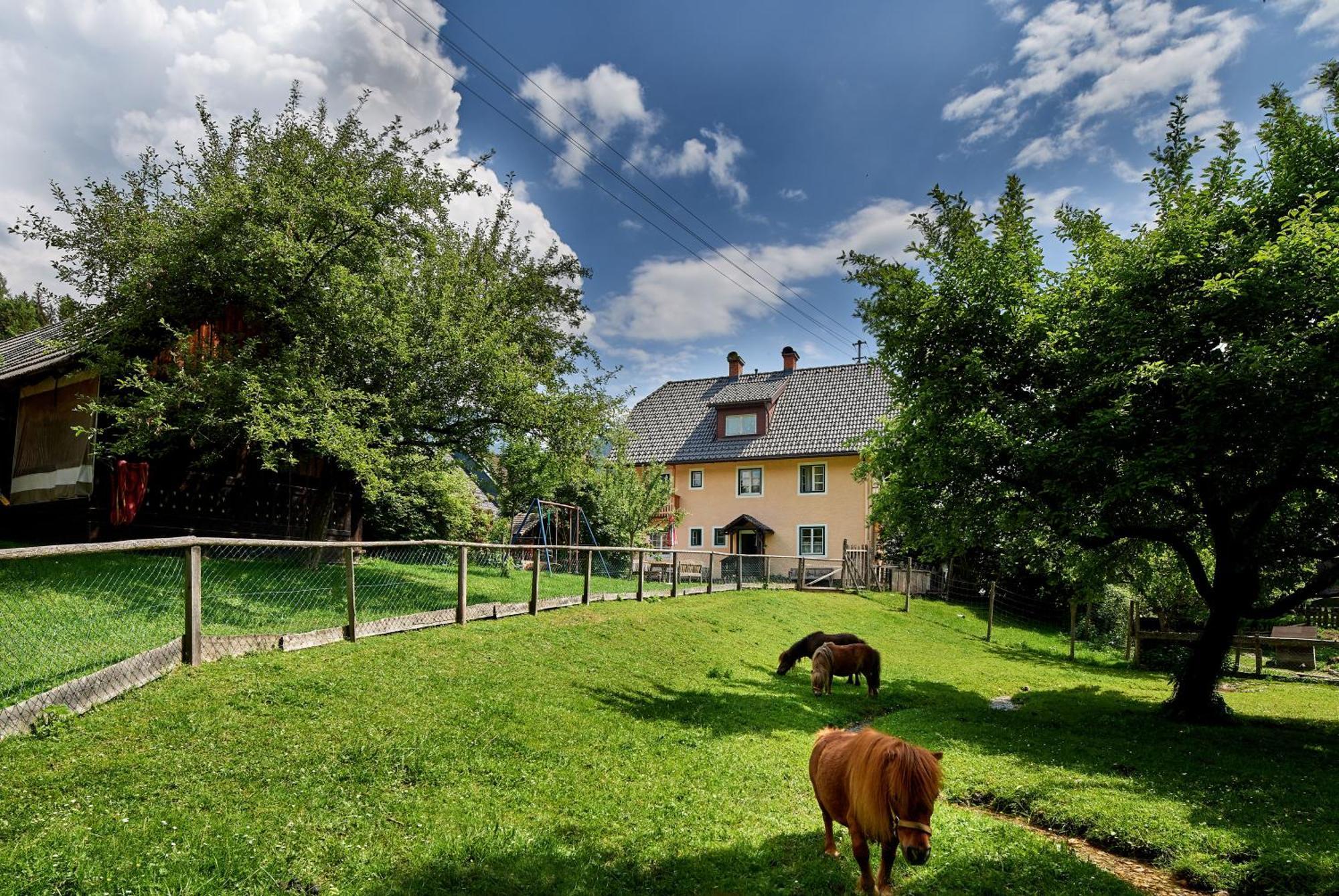 Apartmán Abenteuerhof Weißenbach Exteriér fotografie