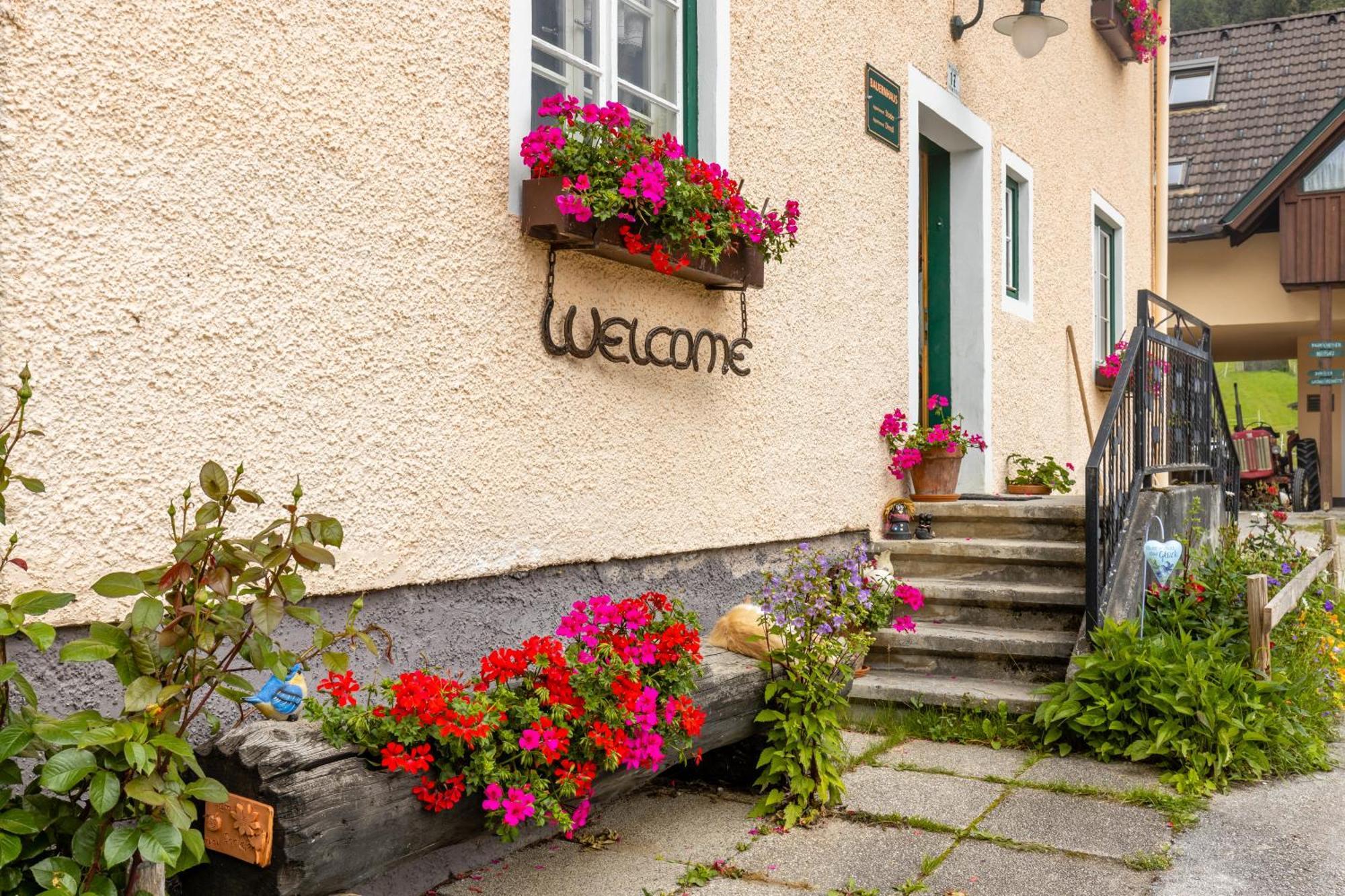 Apartmán Abenteuerhof Weißenbach Exteriér fotografie