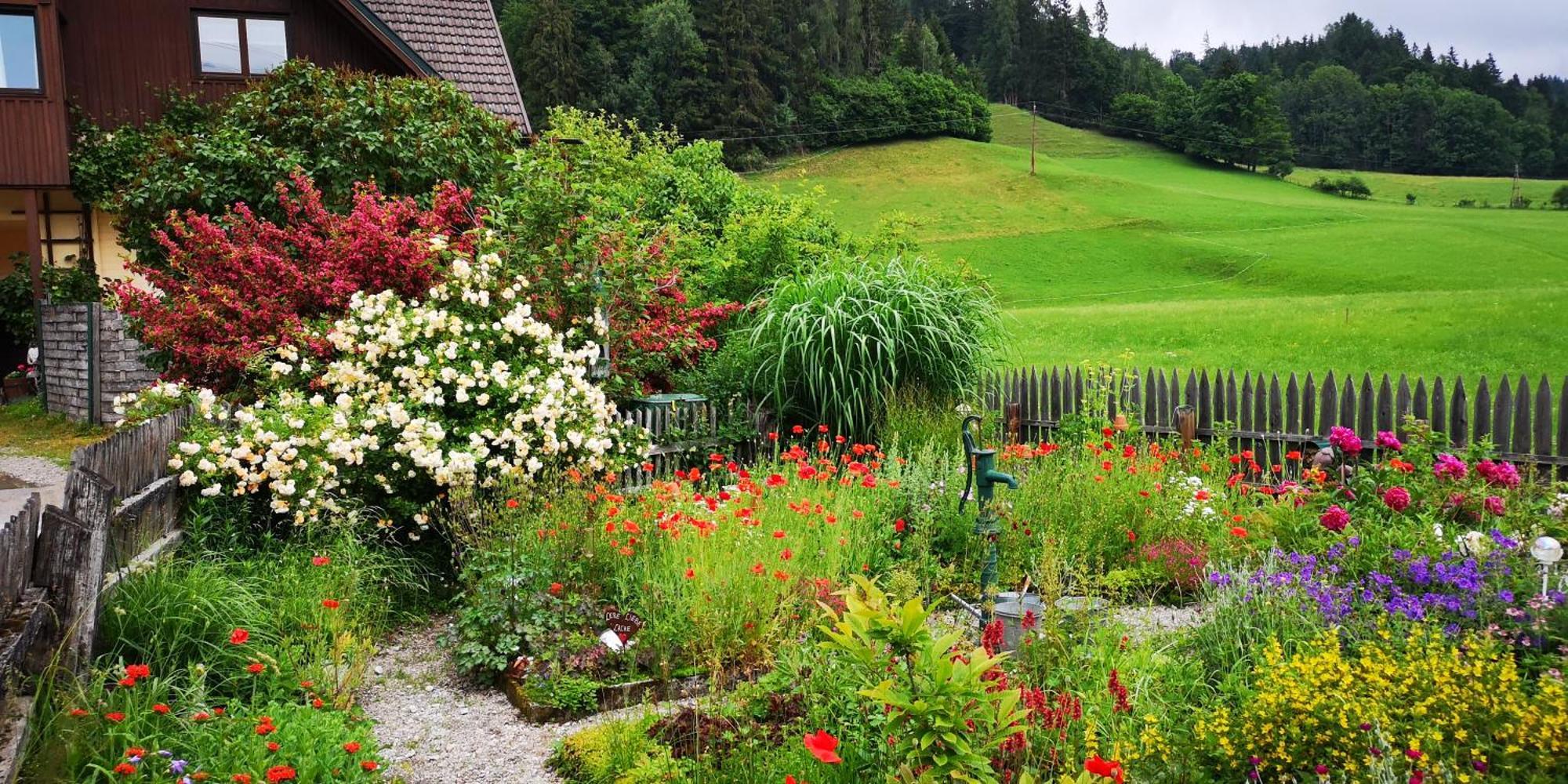 Apartmán Abenteuerhof Weißenbach Exteriér fotografie