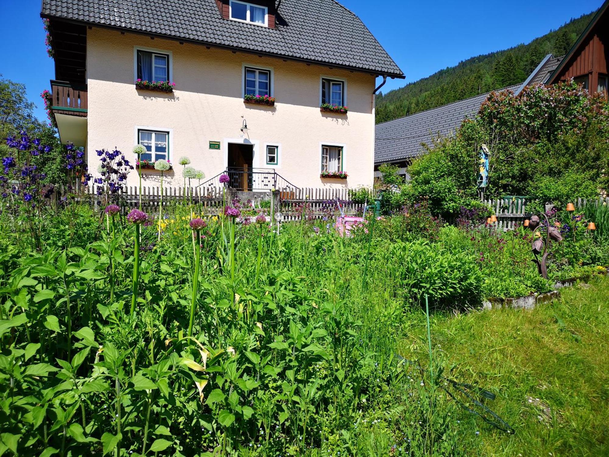 Apartmán Abenteuerhof Weißenbach Exteriér fotografie